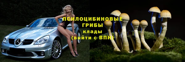 PSILOCYBIN Аркадак