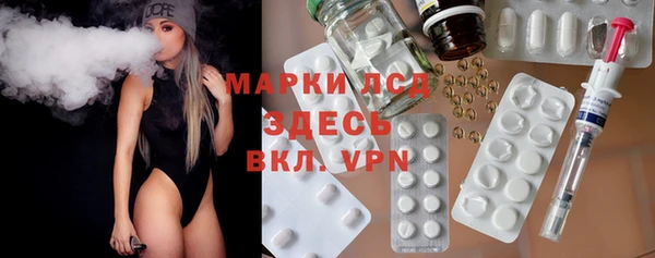 PSILOCYBIN Аркадак