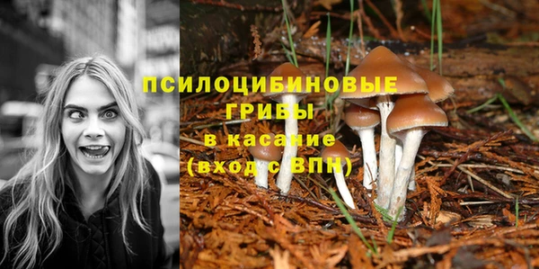 меф Армянск