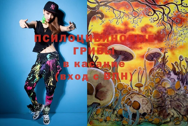 PSILOCYBIN Аркадак