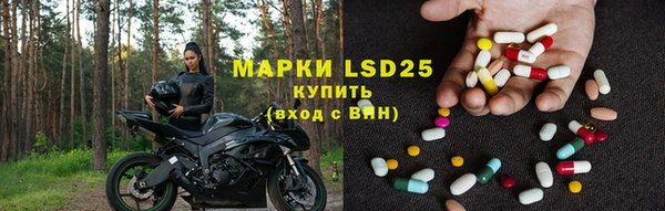 PSILOCYBIN Аркадак
