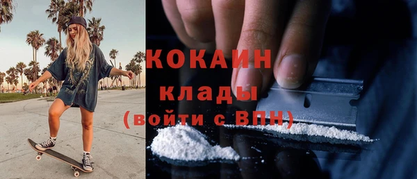 PSILOCYBIN Аркадак