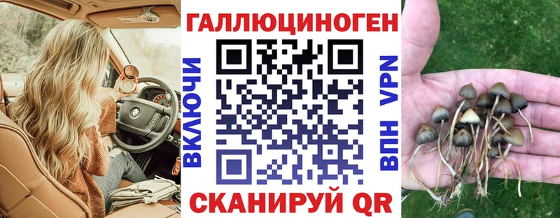 shop Telegram  MEGA рабочий сайт  Карабулак  Галлюциногенные грибы мицелий 